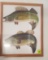 Framed Winchester Fishing Lures Northern Pike and Bass Cutout Signs