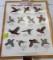Remington know your upland game birds poster