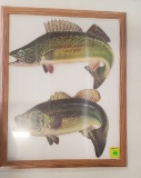 Framed Winchester Fishing Lures Northern Pike and Bass Cutout Signs