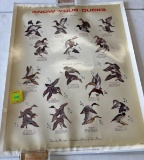 Remington know your ducks poster
