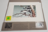 1982 Missouri Duck Stamp Print w/stamp 9/65