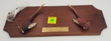Wooden Winchester Bicentennial '76 wall rack assembly