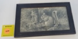 Winchester Shot Shells Grey Squirrel photo