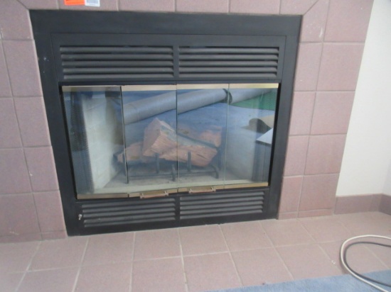 Fireplace Insert