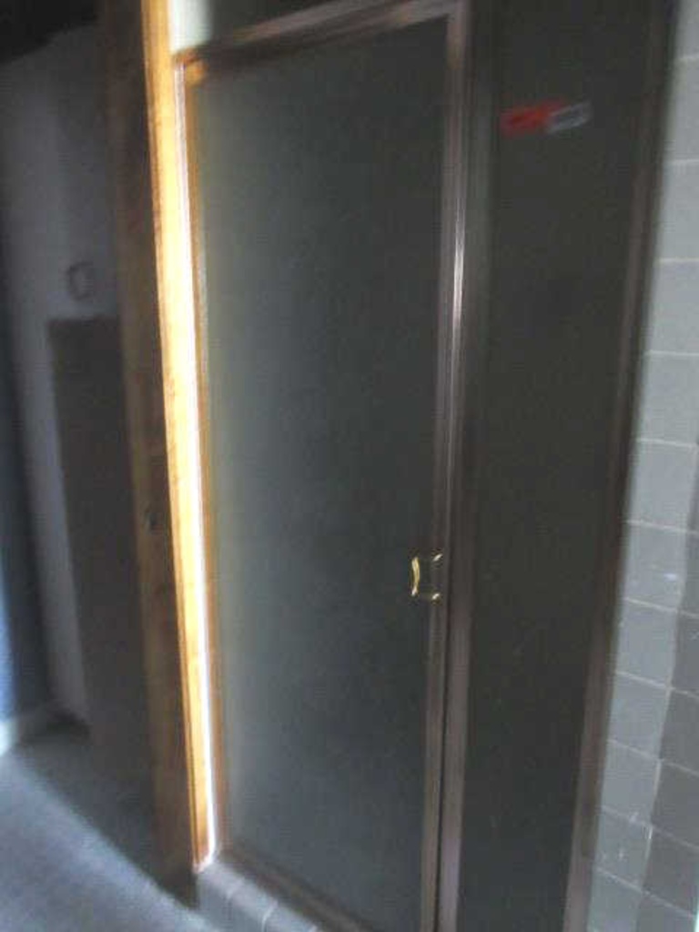 Shower Door