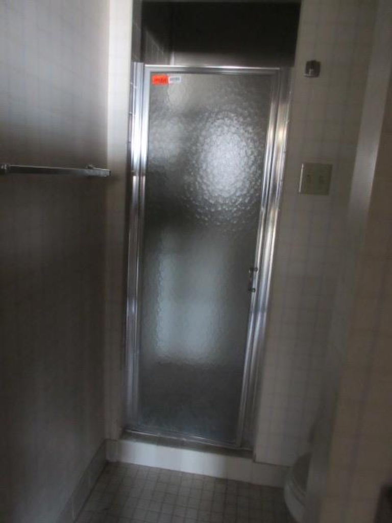 Shower Door