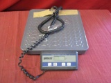 Digital Scale