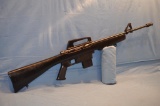 Armscore Model 1600 .22 cal Semi Automatic Rifle