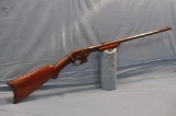 Savage .22 Cal Pump Rifle