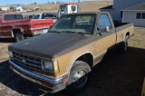 '85 Chevy S10 2wd pickup