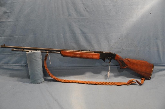 High Standard Sport King .22 cal pump rifle