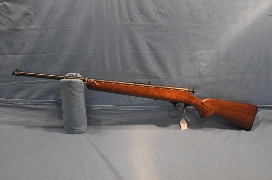 Glennfield 10 .22 bolt action rifle