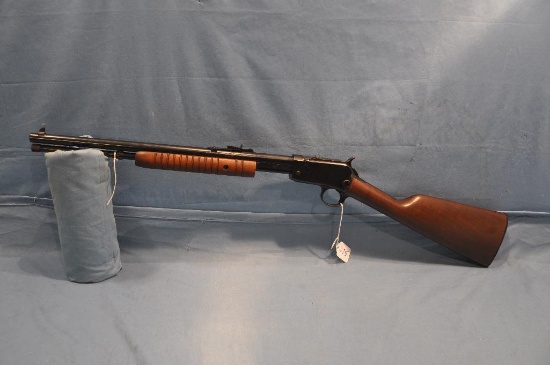 Taurus 172 .17HMR pump rifle