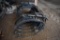 6' hyd. grapple bucket