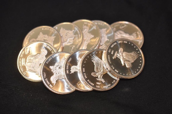 10 oz. silver bullion as pictured