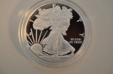 2013 SILVER EAGLE