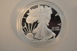 2014 SILVER EAGLE