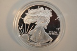 2001 SILVER EAGLE