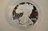 2007 SILVER EAGLE