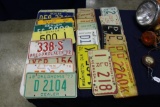 COLLECTION OF LICENSE PLATES