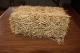 (17) Miniature straw bales