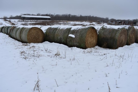 (10) 2019 first cutting grass round bales