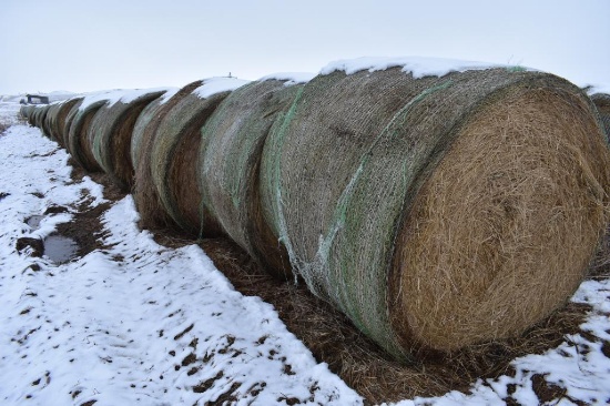 (14) 2019 first cutting grass round bales