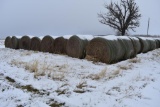 (10) 2019 first cutting grass round bales