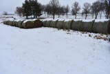 (25) 2019 first cutting grass round bales