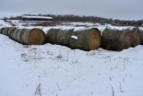 (14) 2019 first cutting grass round bales