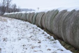 (25) 2019 first cutting grass round bales