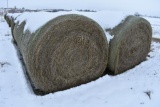 (14) 2019 second cutting grass round bales