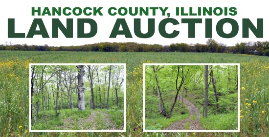 Hancock County, IL Land Auction