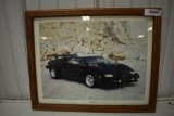 Lamborghini Countach framed picture
