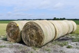 (10) Large round bales of 2020 net wrapped grass hay