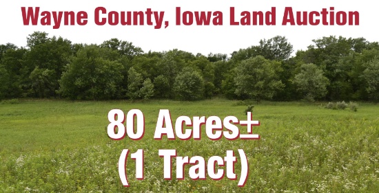 Wayne County, IA Land Auction