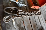 Heavy log chain