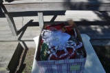 lot box of new christmas decor.