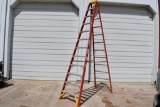 Werner 12' step ladder