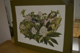 Franklin Mint Flowers of America Prints