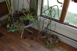 Contents of closet, mops, metal chair, newer table w/plants