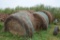 Approx. 15 round bales of hay