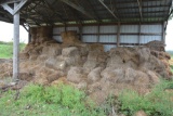 Large amount of older square bales in west shed