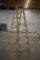 Keller Pro 8' fiberglass step ladder
