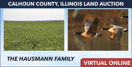 Calhoun County, IL Land Auction - Hausmann