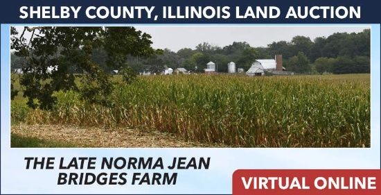 Shelby County, MO Land Auction - Bridges