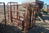 Handi Clasp cattle chute w/ palpation cage and Foremost model 30 head gate