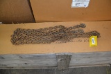 20' log chain