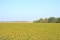 Tract 2 - 70.4 Surveyed Acres