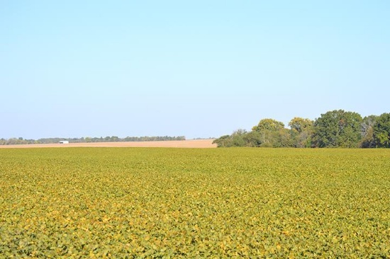Tract 2 - 70.4 Surveyed Acres